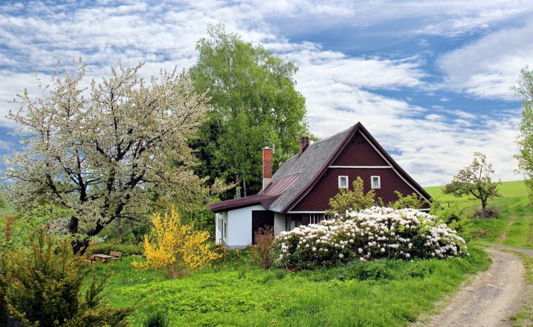 DIY Rainwater Collection Systems: Harvesting Rain for Outdoor Use